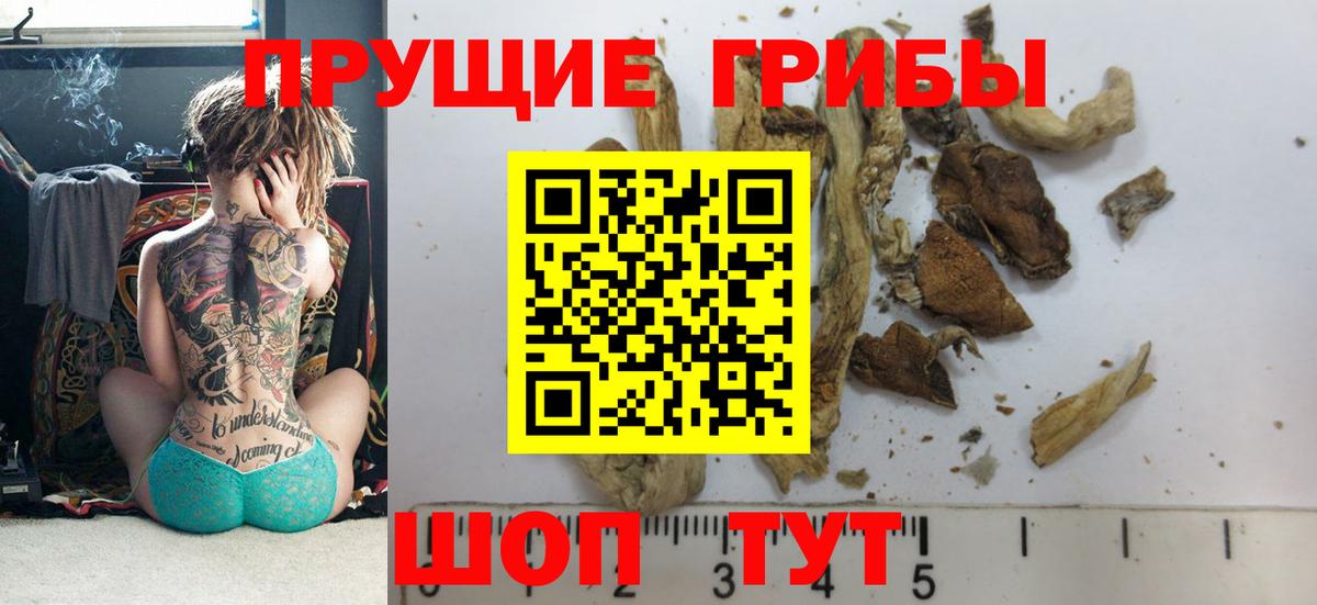 Галлюциногенные грибы ЛСД Чебаркуль